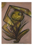 Size: 500 X 700 mm